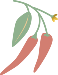 pflanz1