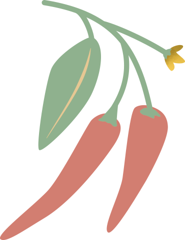 pflanz1